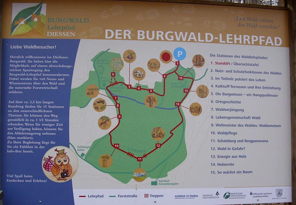 Waldlehrpfad Burgwald