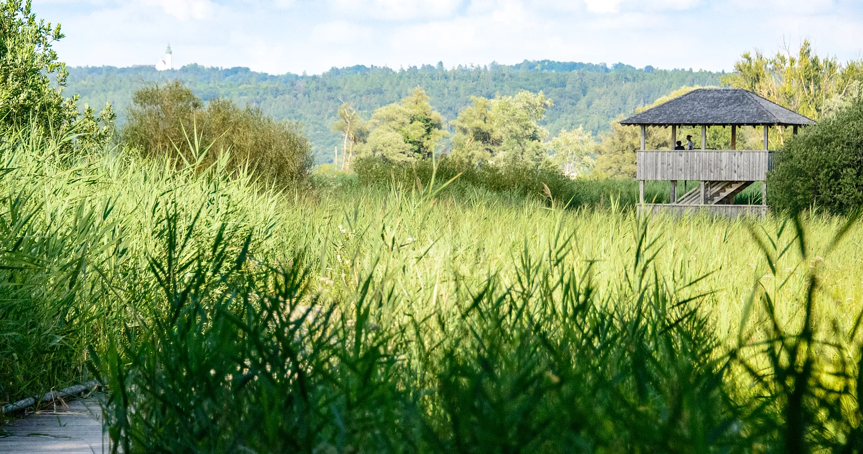 Vogelturm  Aussichtsturm am südlichen Ammersee in Dießen