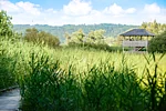 Vogelturm  Aussichtsturm am südlichen Ammersee in Dießen