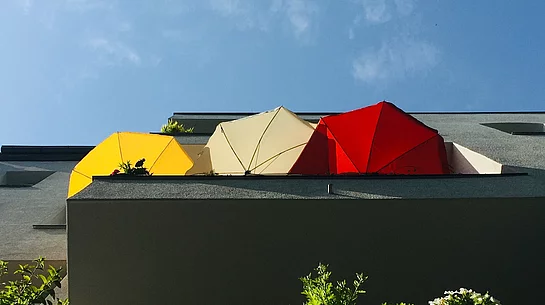 Summer in the city