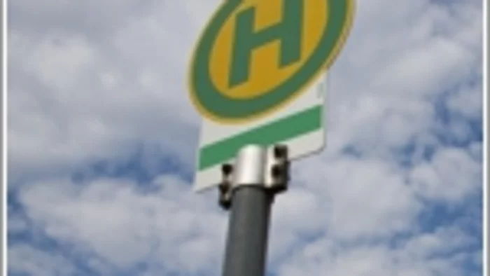 Ortsbus
