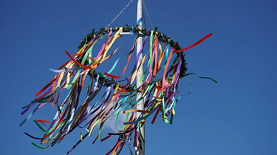 Maibaum